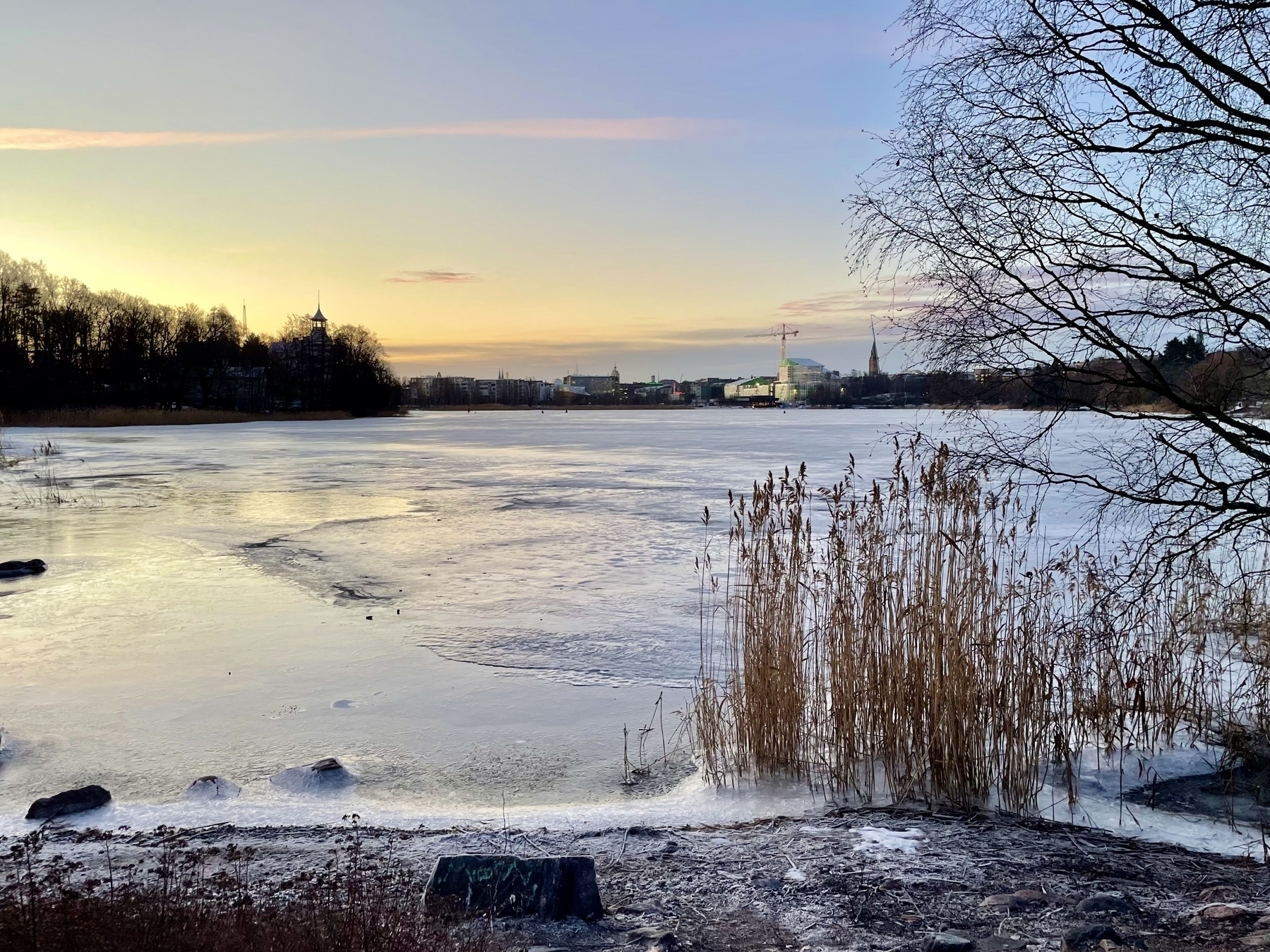 A view of a frozen bay at winter sunrise. There are trees and a city skyline in the background